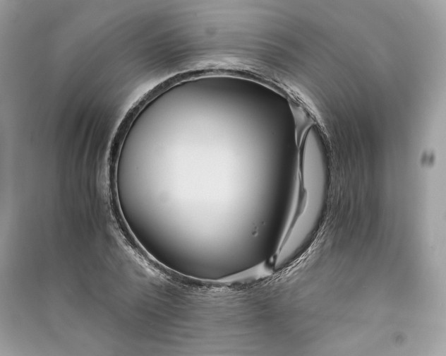 X0000090860784200708101218