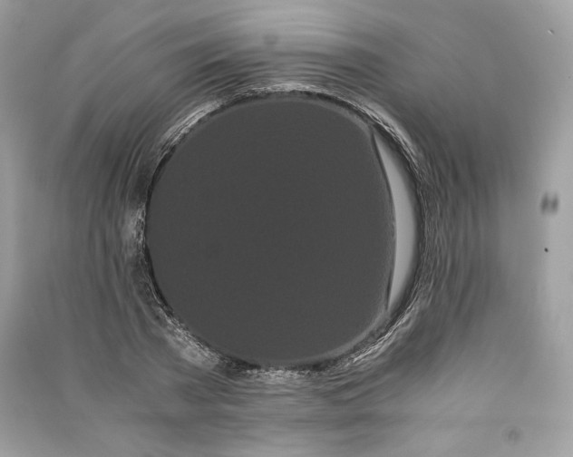 X0000090860785200708101218