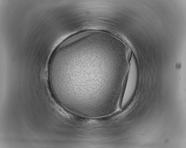 X0000090860787200708101218