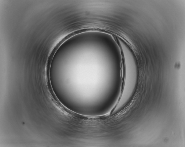 X0000090860788200708101218