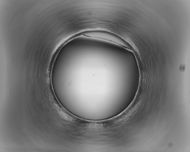 X0000090860789200708101218