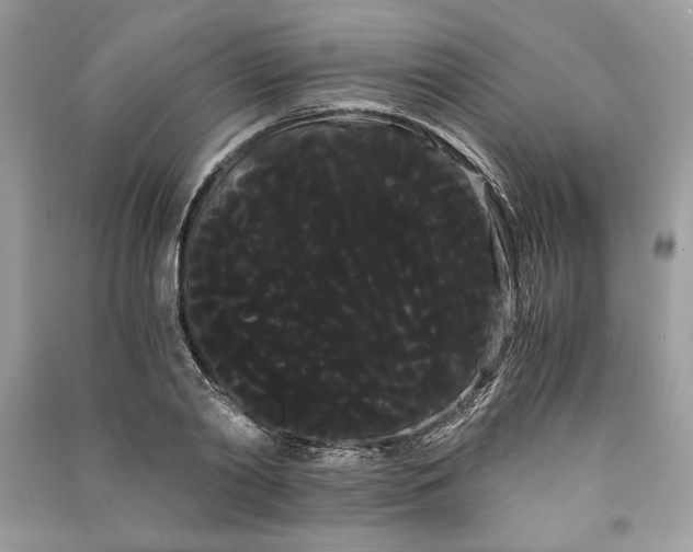 X0000090860790200708101218