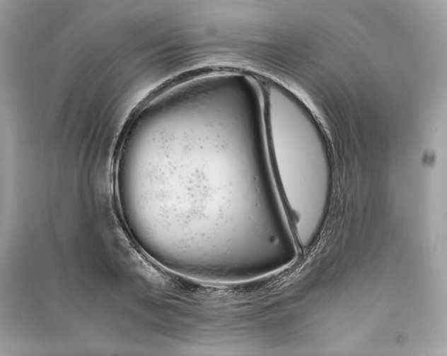 X0000090860791200708101218