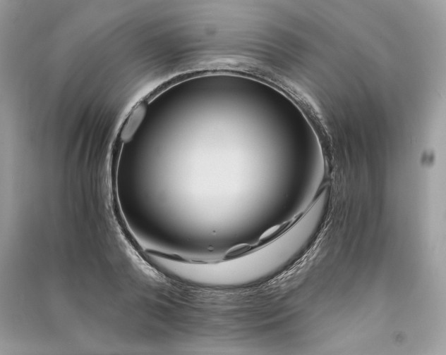 X0000090860792200708101218