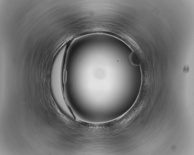 X0000090860793200708101218