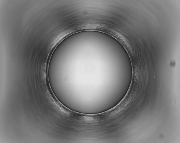 X0000090860794200708101218