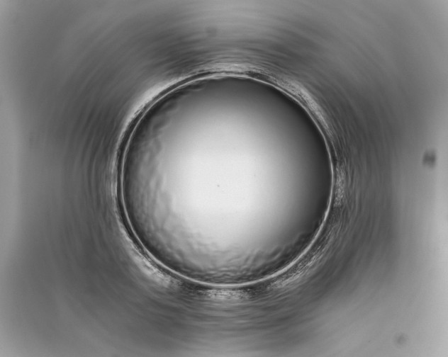 X0000090860795200708101218