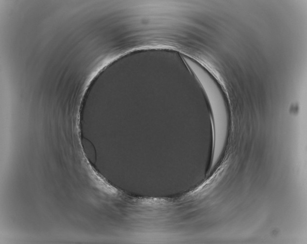 X0000090860797200708101218