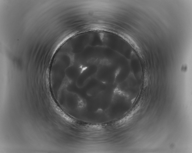 X0000090860798200708101218