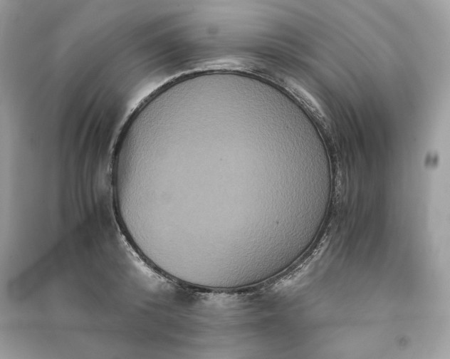 X0000090860800200708101218