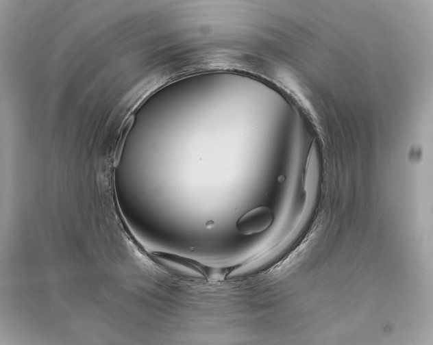 X0000090860801200708101218