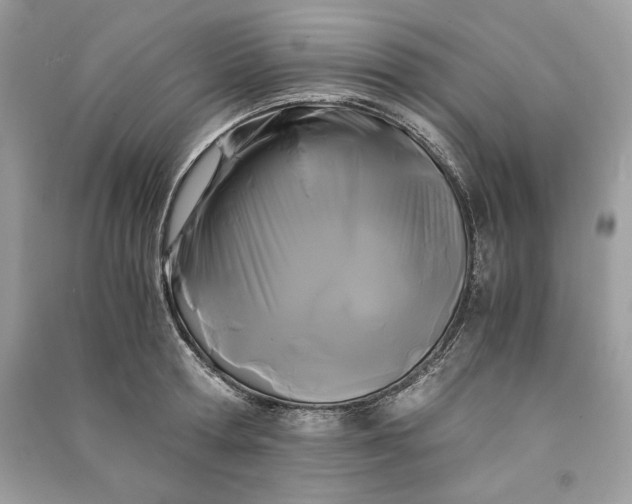 X0000090860802200708101218