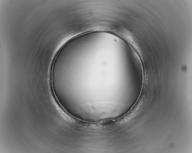 X0000090860803200708101218