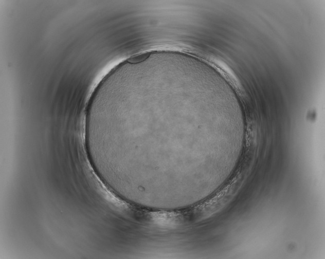 X0000090860804200708101218