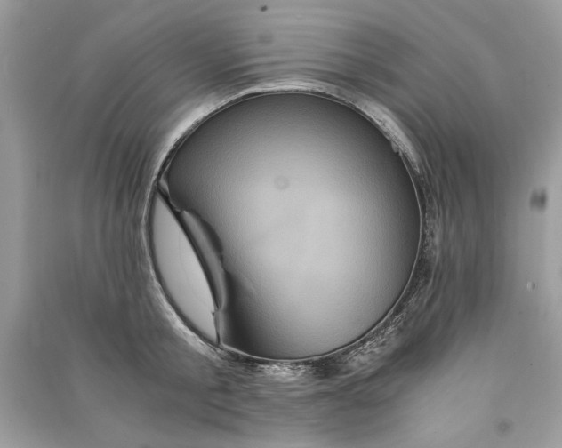 X0000090860805200708101218