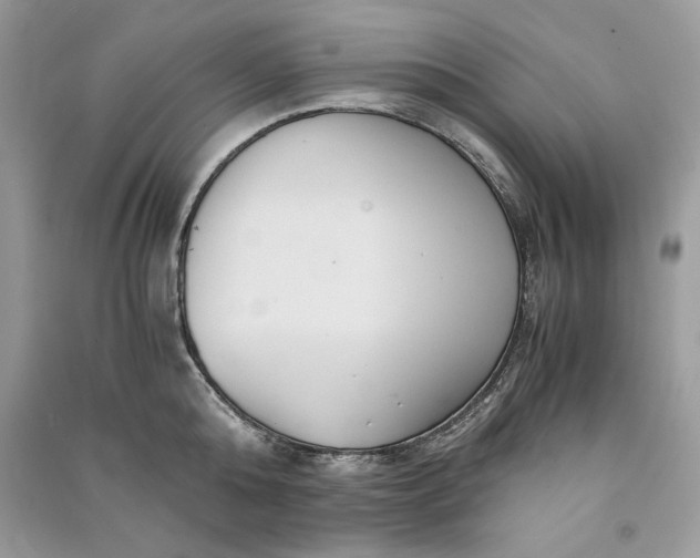 X0000090860808200708101218