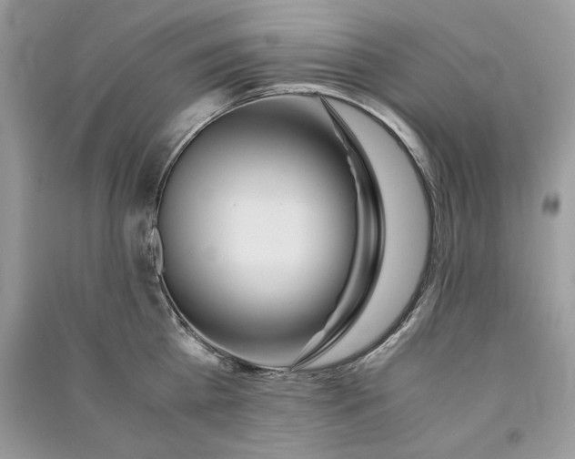 X0000090860809200708101218