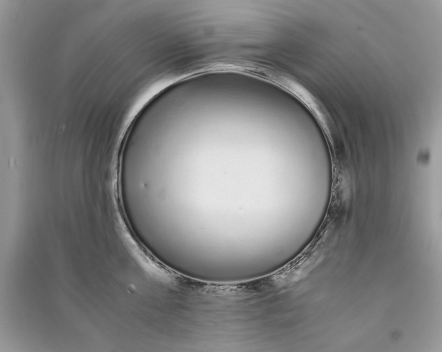 X0000090860811200708101218