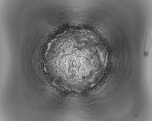 X0000090860817200708101217