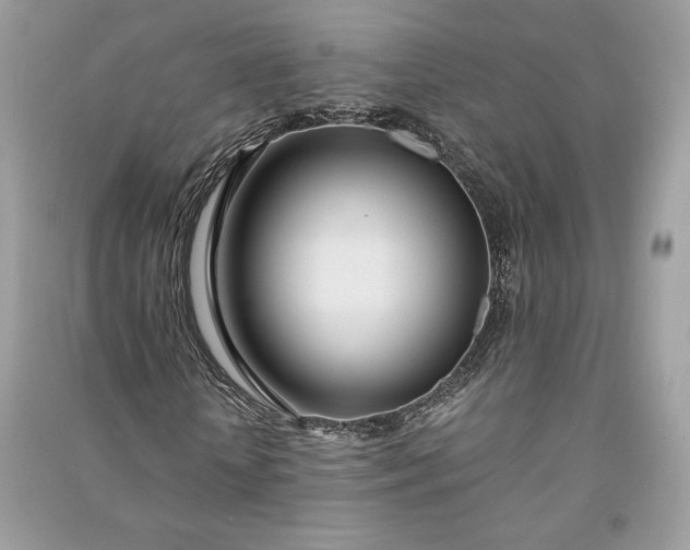 X0000090860818200708101217