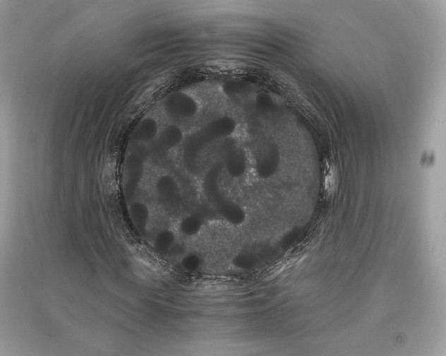 X0000090860819200708101217