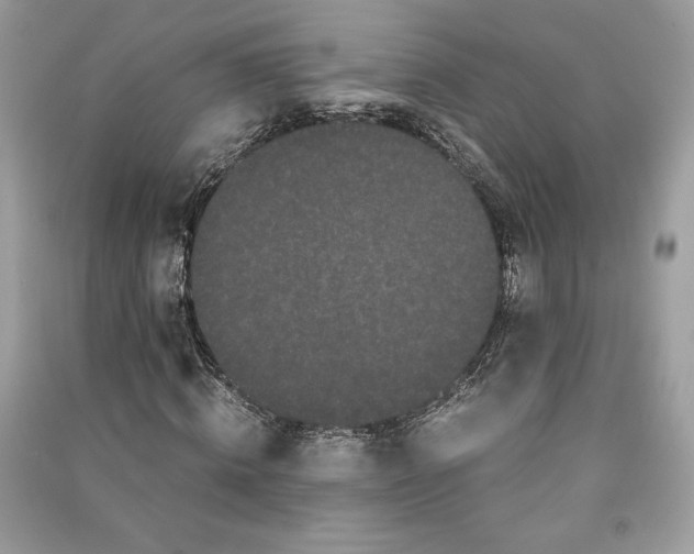 X0000090860820200708101217