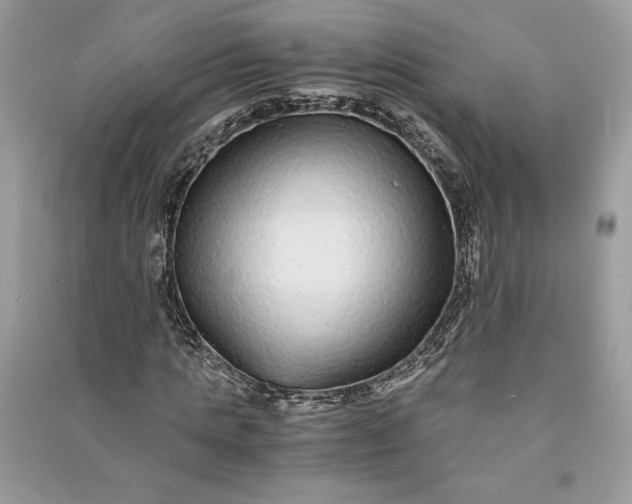 X0000090860821200708101217