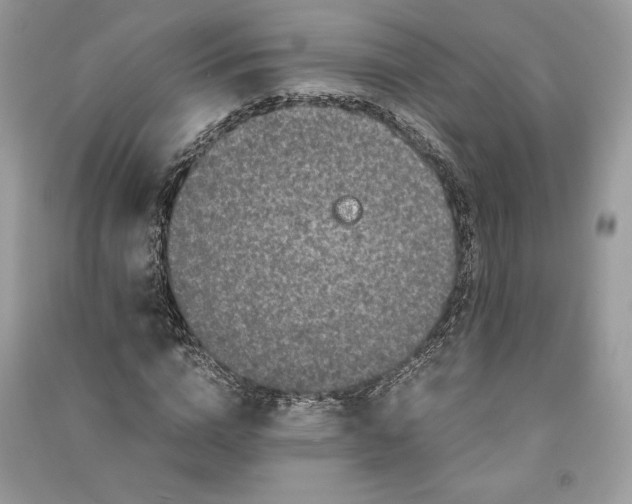 X0000090860824200708101217