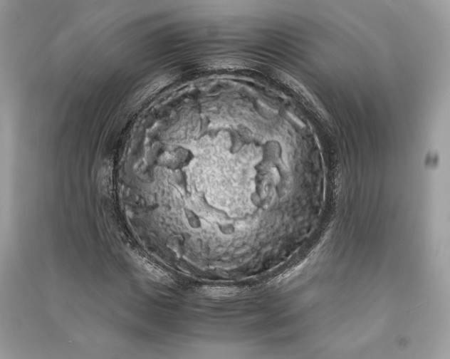 X0000090860825200708101217