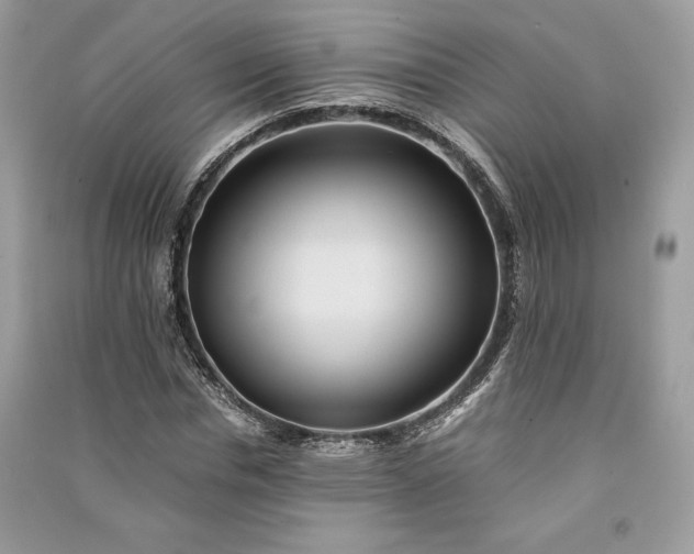 X0000090860826200708101217