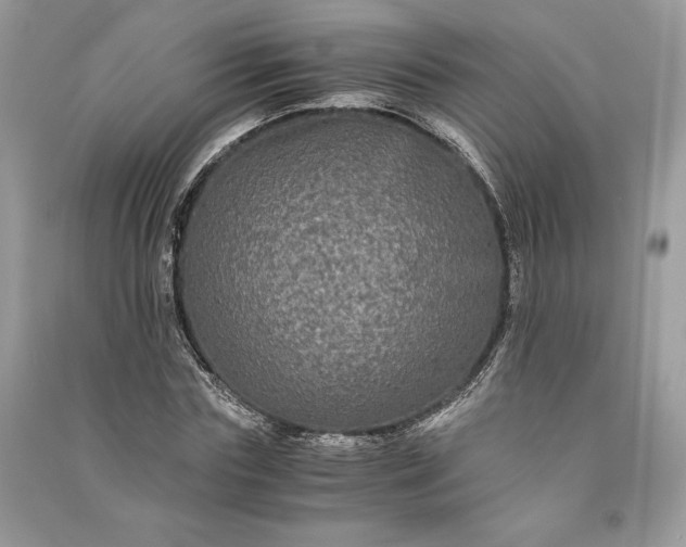 X0000090860827200708101217