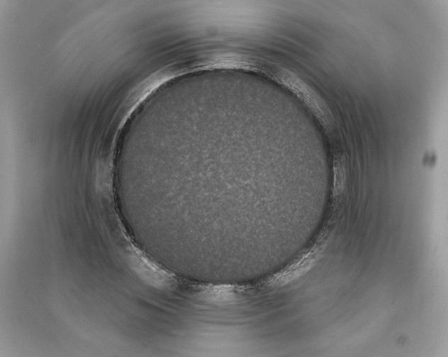 X0000090860828200708101217