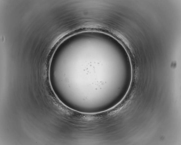 X0000090860829200708101217