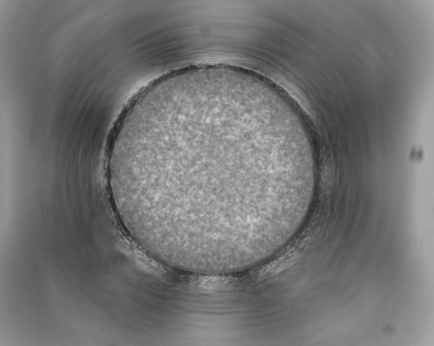 X0000090860832200708101217