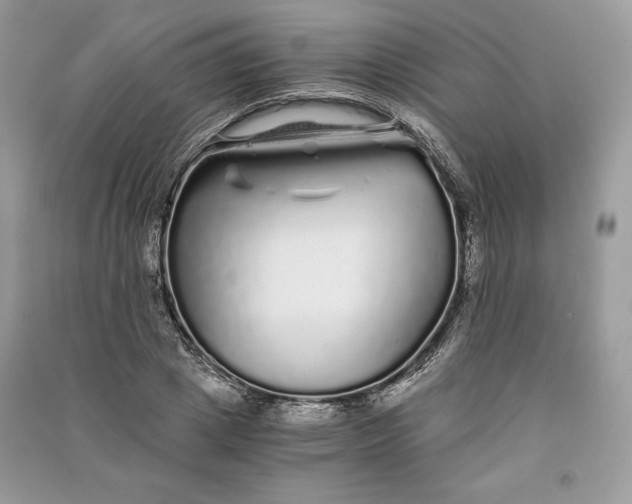 X0000090860833200708101217