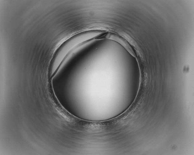 X0000090860834200708101217