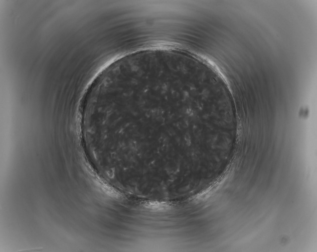 X0000090860835200708101217