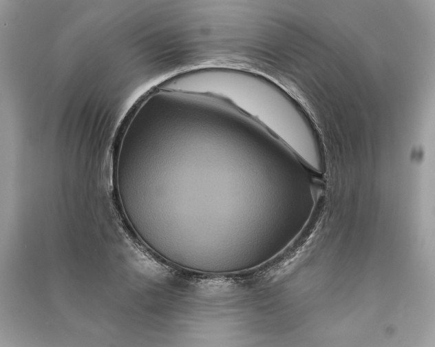 X0000090860838200708101217