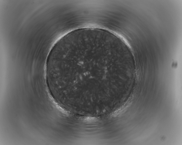 X0000090860839200708101218