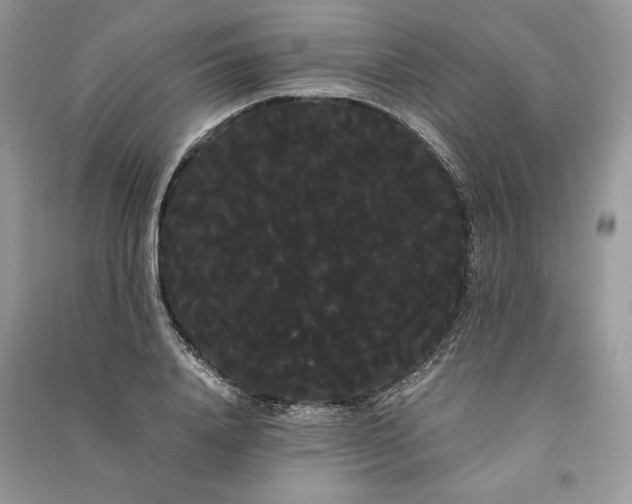 X0000090860840200708101218