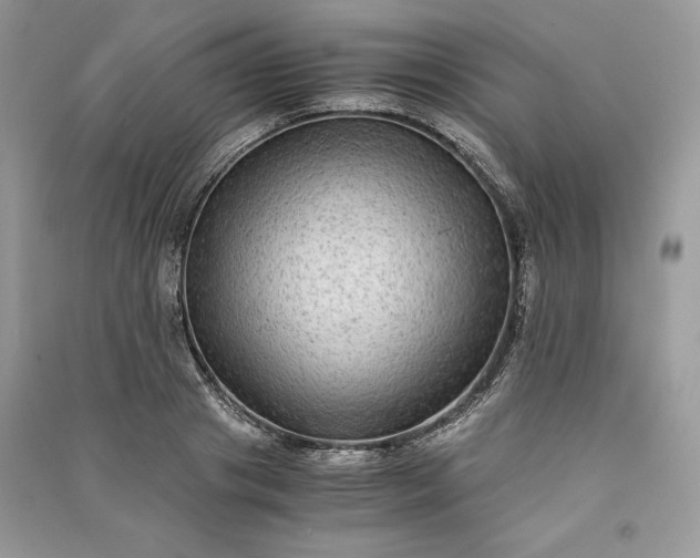 X0000090860841200708101218