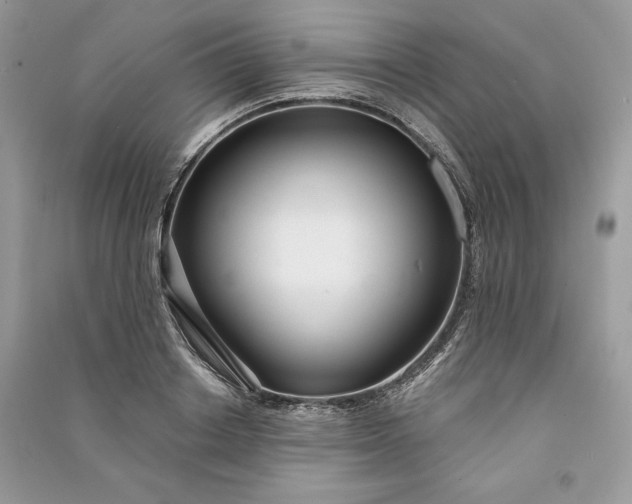 X0000090860842200708101218