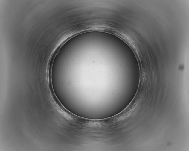 X0000090860843200708101218