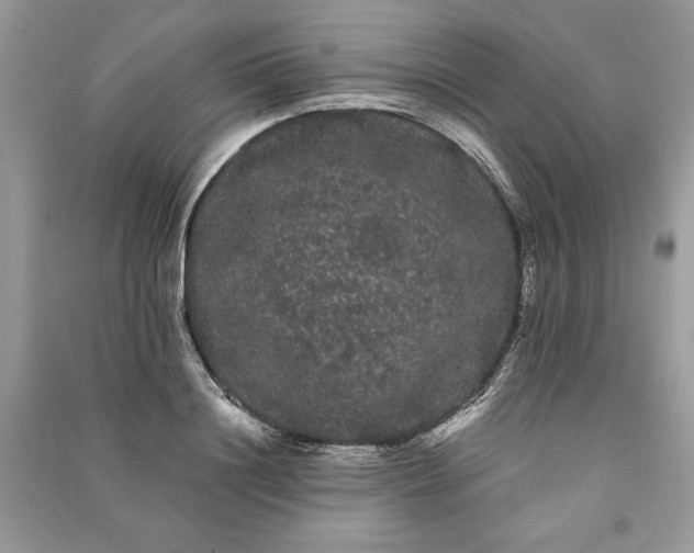 X0000090860844200708101218