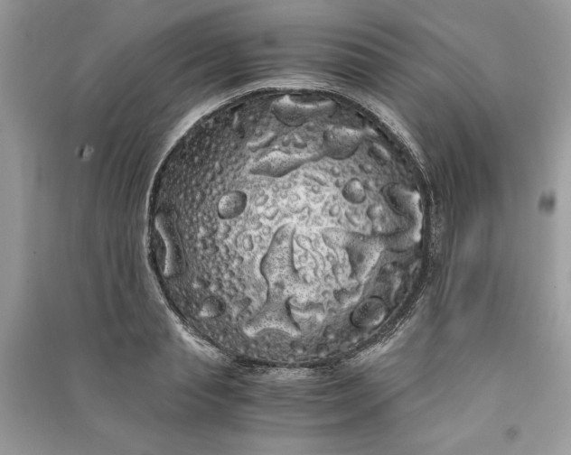 X0000090860845200708101218