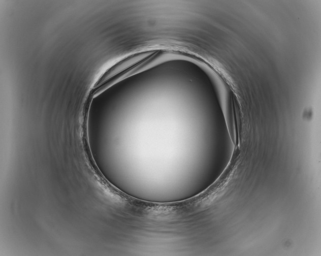 X0000090860846200708101218