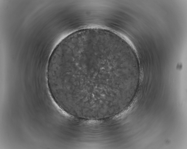 X0000090860847200708101218