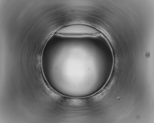 X0000090860849200708101218