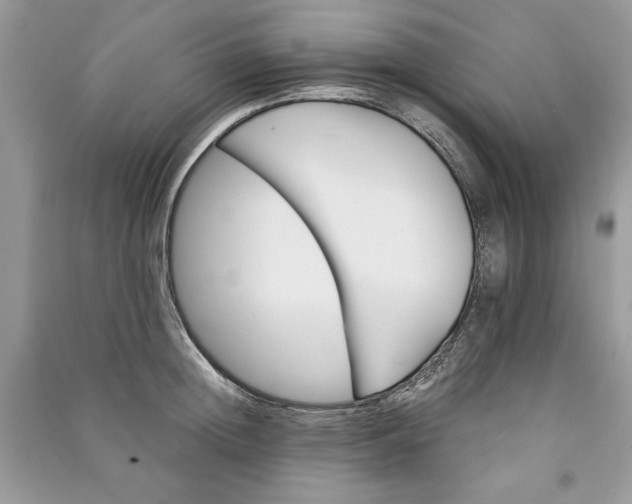 X0000090860852200708101218