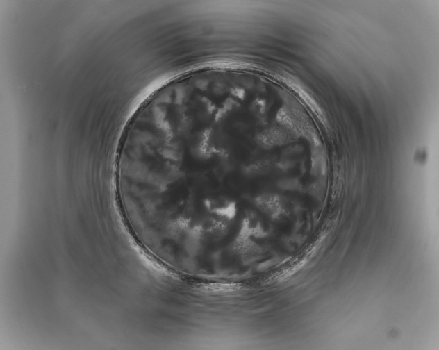 X0000090860853200708101218